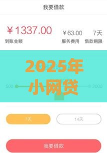 2025年小网贷款黑口子，试试这五个最新贷款平台容易下款