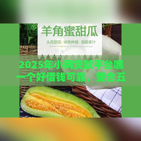 2025年小网贷款平台哪一个好借钱可靠，整合五个最新和小象优品一样好下款的口子