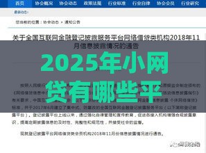 2025年小网贷有哪些平台，试试这五个最新网贷黑户最容易最好下款的平台