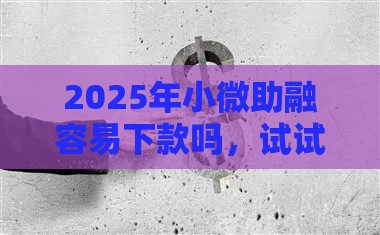 2025年小微助融容易下款吗，试试这五个最新投诉网贷平台