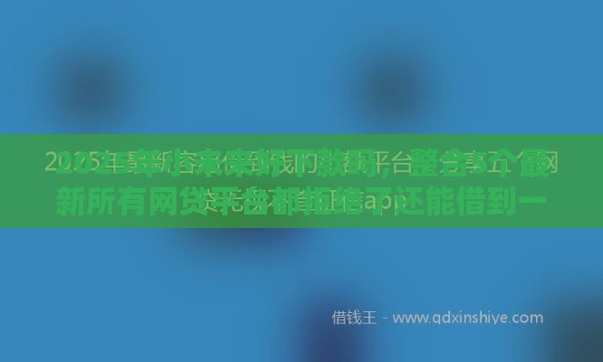 2025年小未来好下款吗，整合5个最新所有网贷平台都拒绝了还能借到一万的软件
