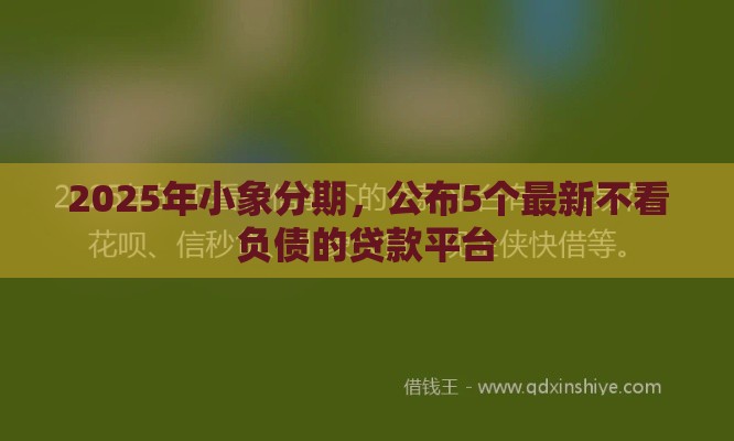 2025年小象分期，公布5个最新不看负债的贷款平台