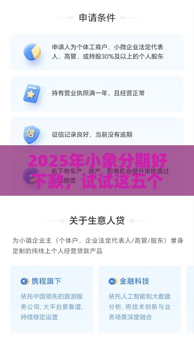 2025年小象分期好下款，试试这五个最新个体户贷款平台