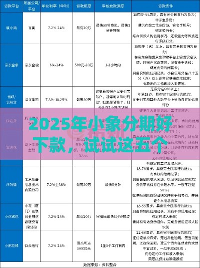 2025年小象分期好下款，试试这五个最新个体户贷款平台