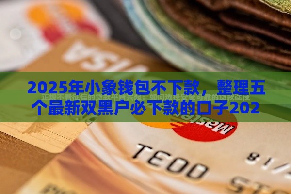 2025年小象钱包不下款，整理五个最新双黑户必下款的口子2025