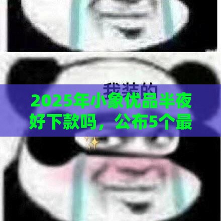 2025年小象优品半夜好下款吗，公布5个最新用手机号贷款的平台