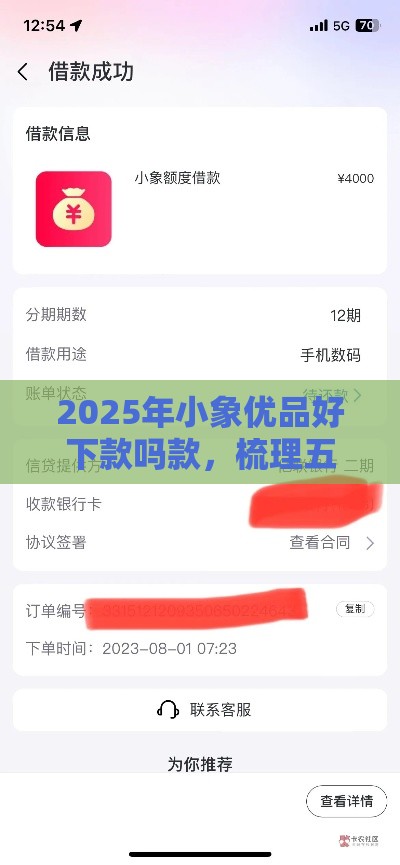 2025年小象优品好下款吗款，梳理五个最新2025年12月借钱口子