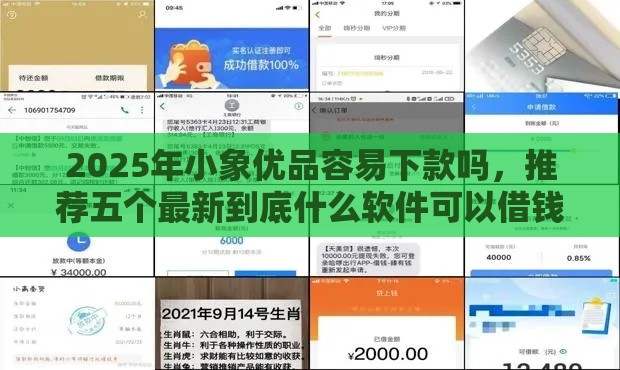 2025年小象优品容易下款吗，推荐五个最新到底什么软件可以借钱黑户