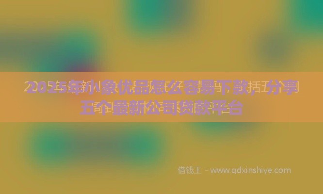 2025年小象优品怎么容易下款，分享五个最新公司贷款平台