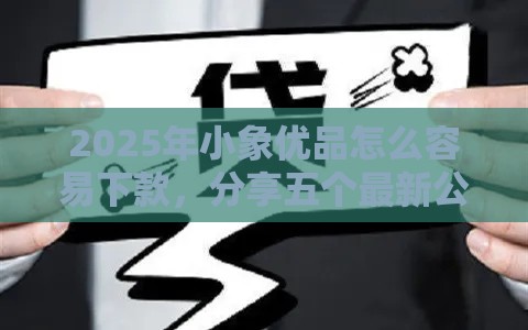 2025年小象优品怎么容易下款，分享五个最新公司贷款平台