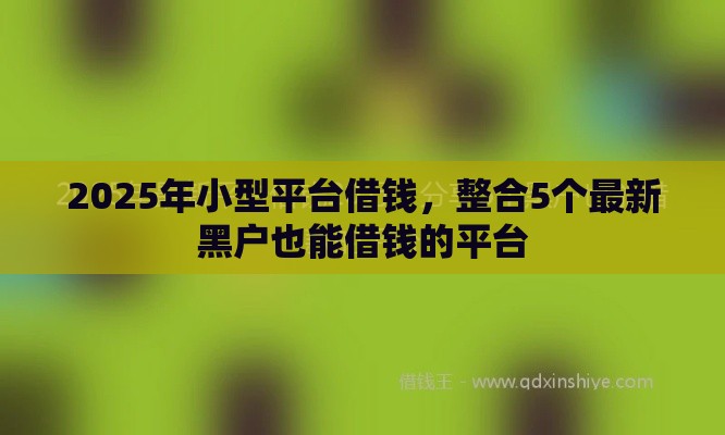 2025年小型平台借钱，整合5个最新黑户也能借钱的平台