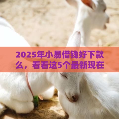 2025年小易借钱好下款么，看看这5个最新现在能借钱的平台