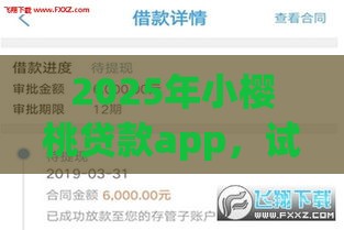 2025年小樱桃贷款app，试试这五个最新额度高的网贷平台