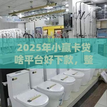 2025年小赢卡贷啥平台好下款,整理五个最新贷款软件容易通过 2025年小赢卡贷啥平台好下款,整理五个最新贷款软件容易通过