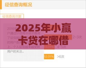 2025年小赢卡贷在哪借钱，试试这5个最新未成年人贷款平台