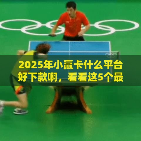 2025年小赢卡什么平台好下款啊，看看这5个最新2025好下款的口子
