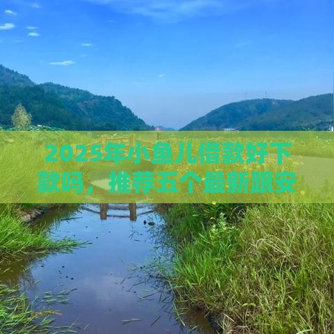 2025年小鱼儿借款好下款吗,推荐五个最新跟安逸花差不多的平台 2025年小鱼儿借款好下款吗,推荐五个最新跟安逸花差不多的平台