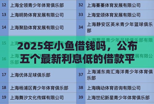 2025年小鱼借钱吗，公布五个最新利息低的借款平台排名不分先后