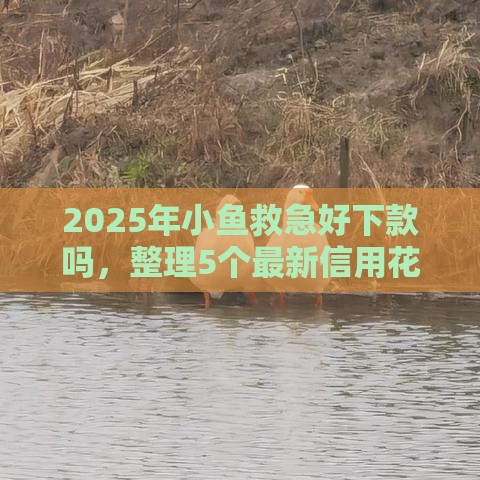 2025年小鱼救急好下款吗，整理5个最新信用花了平台能借到钱