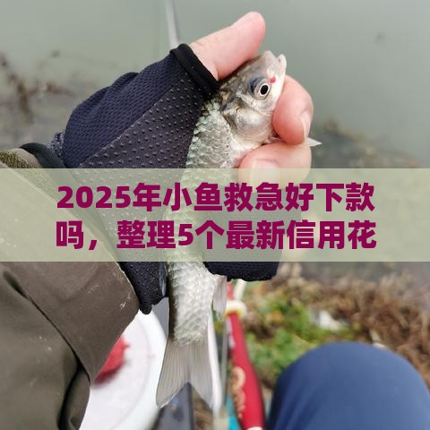 2025年小鱼救急好下款吗，整理5个最新信用花了平台能借到钱