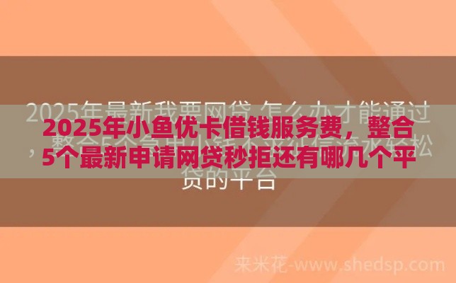 2025年小鱼优卡借钱服务费，整合5个最新申请网贷秒拒还有哪几个平台可以借