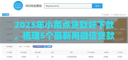 2025年小雨点贷款好下款，梳理5个最新用微信贷款的平台