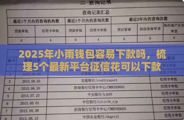 2025年小雨钱包容易下款吗，梳理5个最新平台征信花可以下款