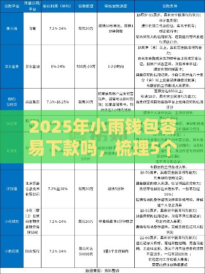 2025年小雨钱包容易下款吗，梳理5个最新平台征信花可以下款