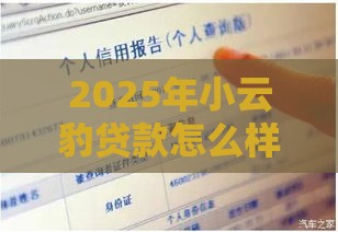 2025年小云豹贷款怎么样，看看这5个最新征信花还能下款的平台