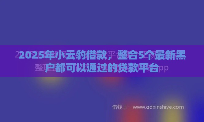 2025年小云豹借款，整合5个最新黑户都可以通过的贷款平台
