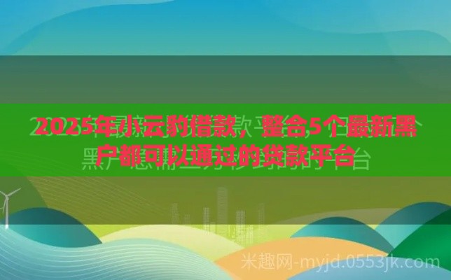 2025年小云豹借款，整合5个最新黑户都可以通过的贷款平台