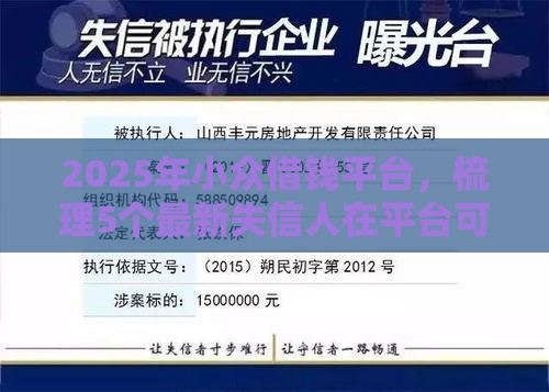 2025年小众借钱平台，梳理5个最新失信人在平台可以借钱