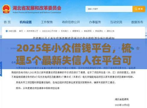 2025年小众借钱平台，梳理5个最新失信人在平台可以借钱