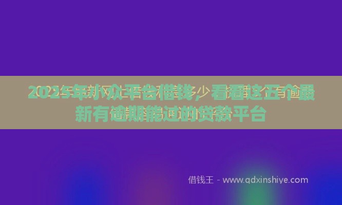 2025年小众平台借钱，看看这五个最新有逾期能过的贷款平台