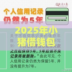 2025年小猪借钱包，分享五个最新无需征信的贷款平台