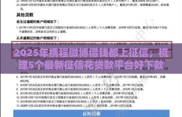 2025年携程微博借钱都上征信，梳理5个最新征信花贷款平台好下款