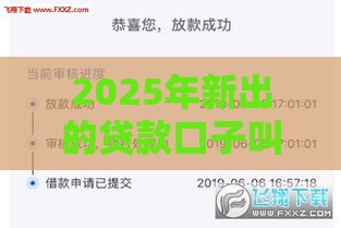 2025年新出的贷款口子叫什么，整合五个最新2025回收类秒下的口子