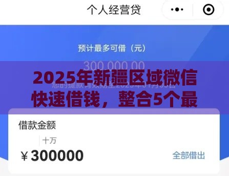 2025年新疆区域微信快速借钱，整合5个最新花户能下款的平台