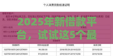 2025年新借款平台，试试这5个最新平台不看负债和征信可以借到钱
