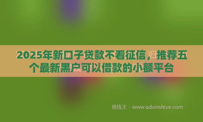 2025年新口子贷款不看征信，推荐五个最新黑户可以借款的小额平台