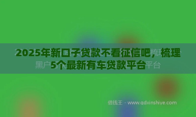 2025年新口子贷款不看征信吧，梳理5个最新有车贷款平台