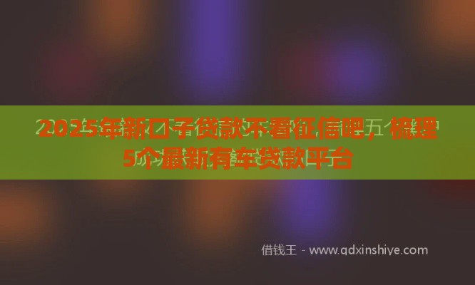 2025年新口子贷款不看征信吧，梳理5个最新有车贷款平台