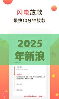 2025年新浪旗下借钱软件，公布五个最新什么口子黑户可以下款