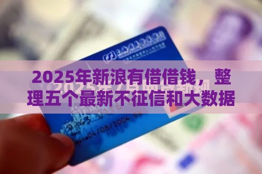 2025年新浪有借借钱，整理五个最新不征信和大数据的短期网贷适合58岁的平台