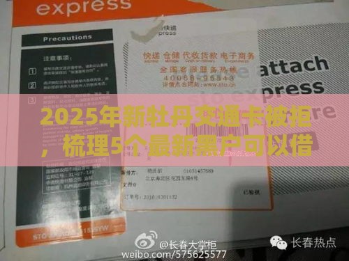 2025年新牡丹交通卡被拒，梳理5个最新黑户可以借钱的平台