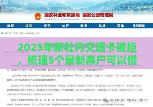 2025年新牡丹交通卡被拒，梳理5个最新黑户可以借钱的平台