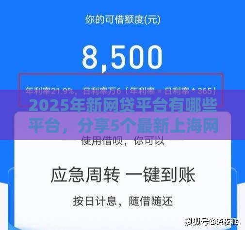2025年新网贷平台有哪些平台，分享5个最新上海网贷是平台