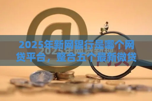 2025年新网银行是哪个网贷平台，整合五个最新微贷网是什么网贷平台