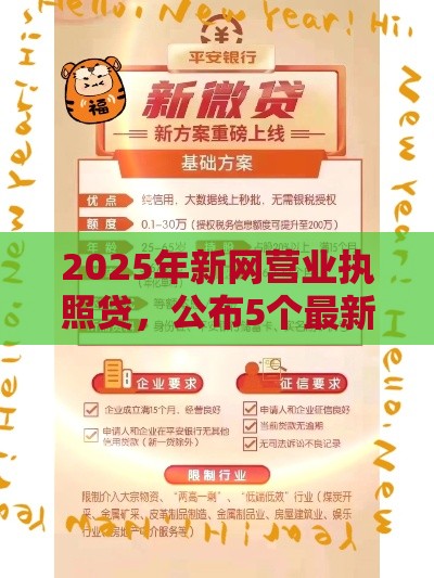 2025年新网营业执照贷，公布5个最新十大良心贷款平台