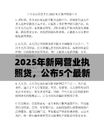 2025年新网营业执照贷，公布5个最新十大良心贷款平台